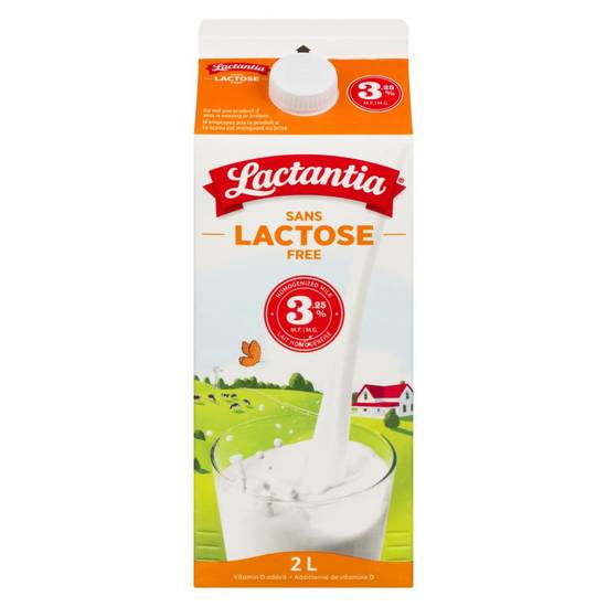 Lactantia lait homogénéisé sans lactose (2 l) - lactose free homogenized milk (2 l)