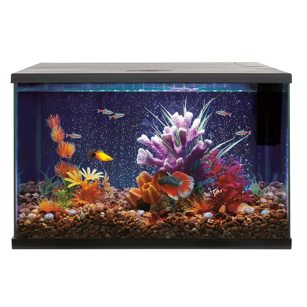 Top Fin LED Bubble Wall Aquarium Kit (Size: 10 Gal)