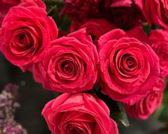 Flores Luludi (calle cartagena)