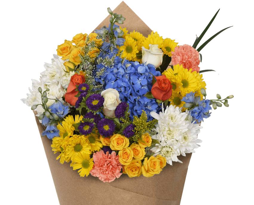 Bloom Haus™ Lush Bouquet - A
