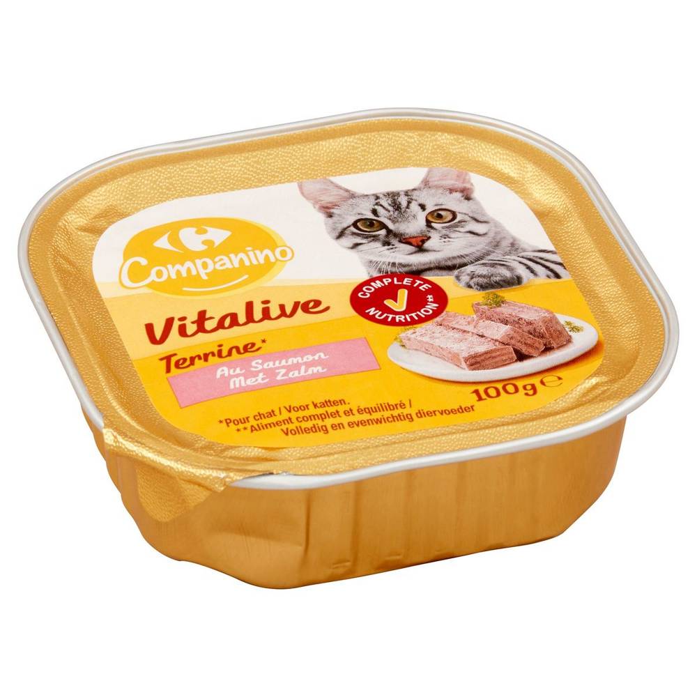 Carrefour Companino Vitalive Terrine au Saumon 100 g