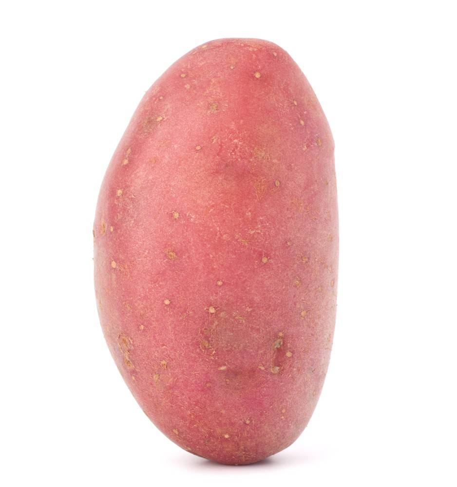 Organic Red Potato