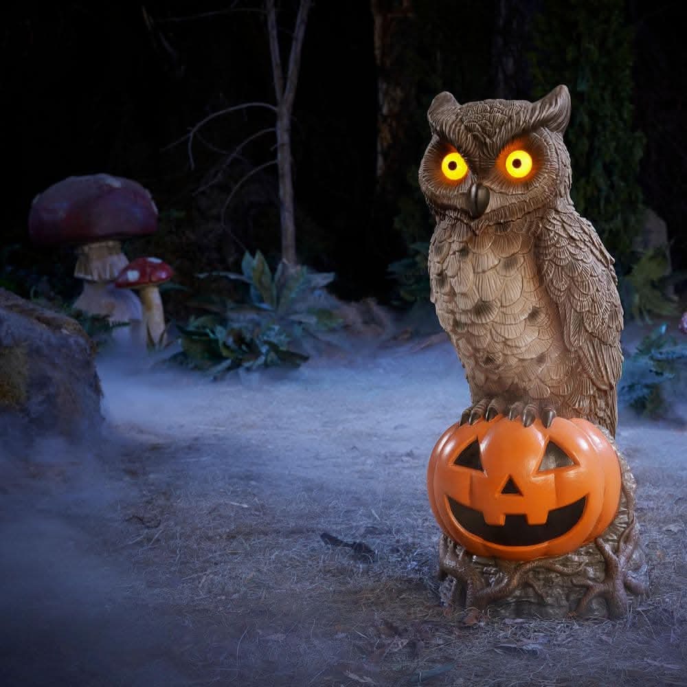 Home Accents Holiday 2.5 Ft Grave & Bones Hand-Painted Led Owl On Pumpkin