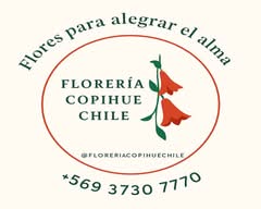 Floristeria Copihue (La Florida)