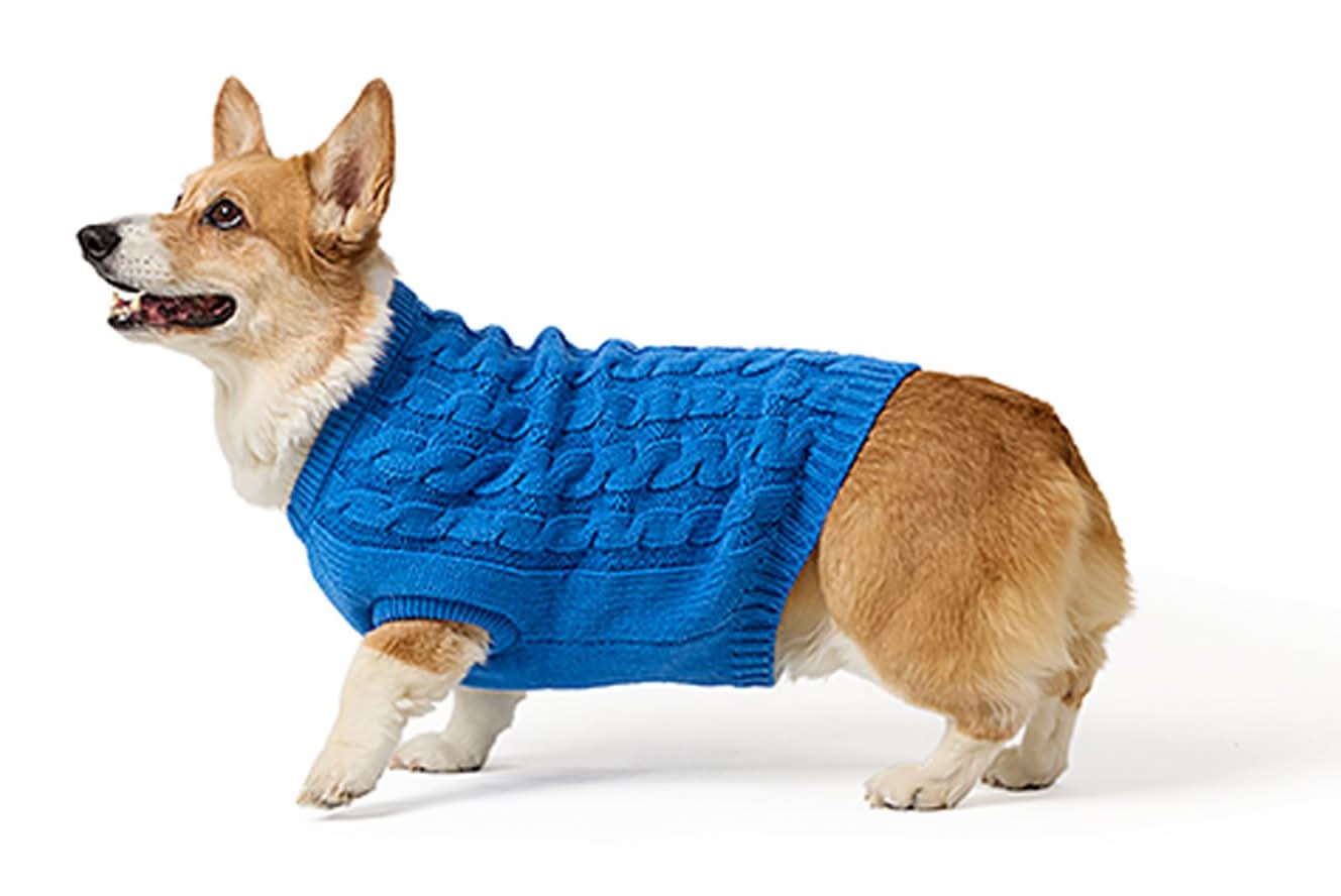 Top Paw® Fall Sweater (Color: Blue, Size: X Small)