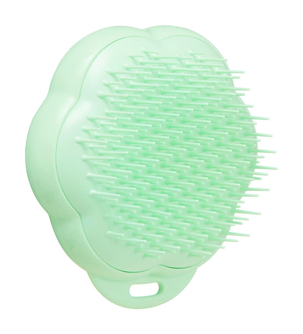 Pet Teezer All-in-1 Detangling Cat Groming Brush - Mint (Color: Green)