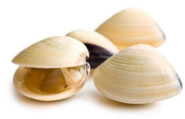 Frozen Cooked Whole White Clams - 17-22 ct - 2 lbs