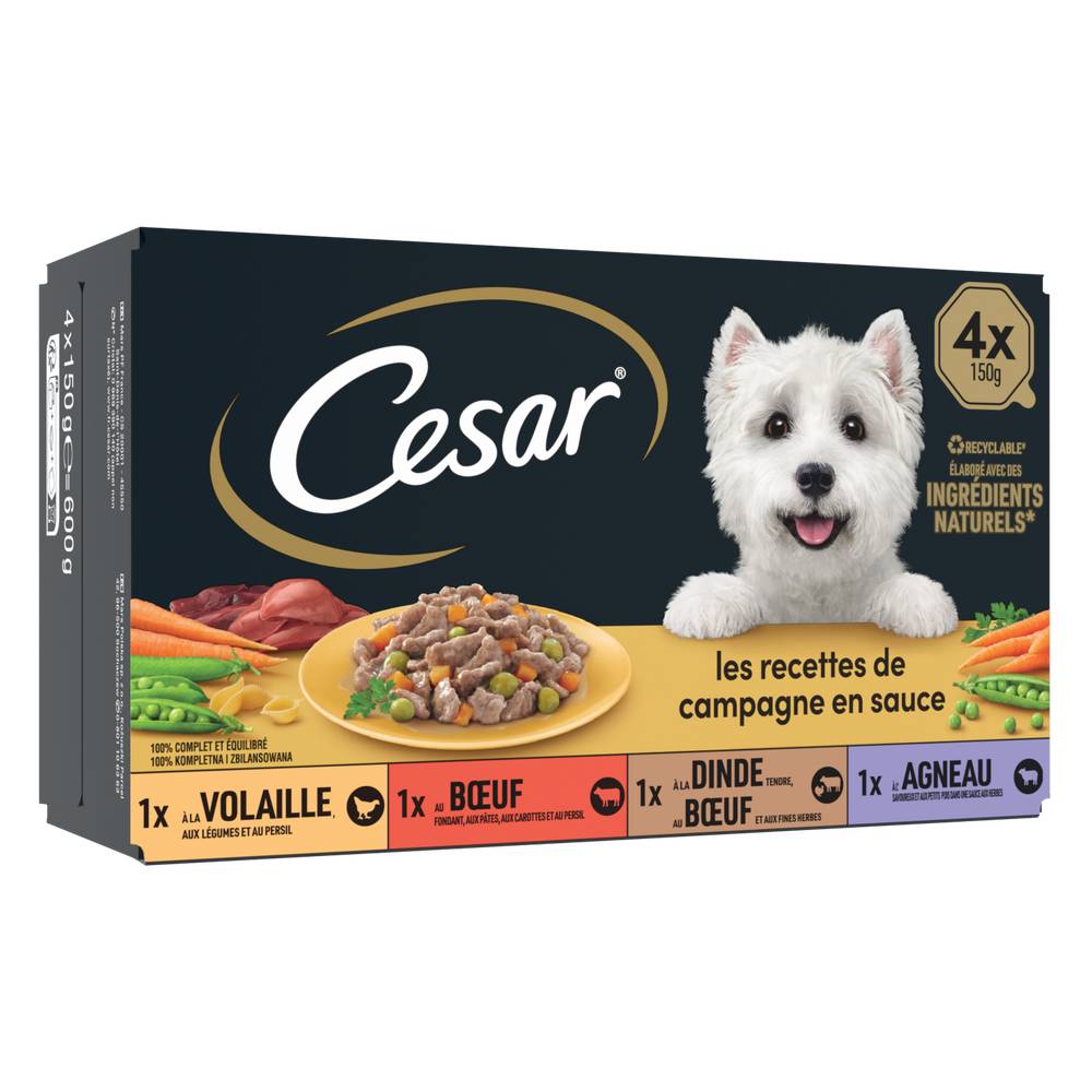 Cesar - Les recettes de campagne en sauce (600g)