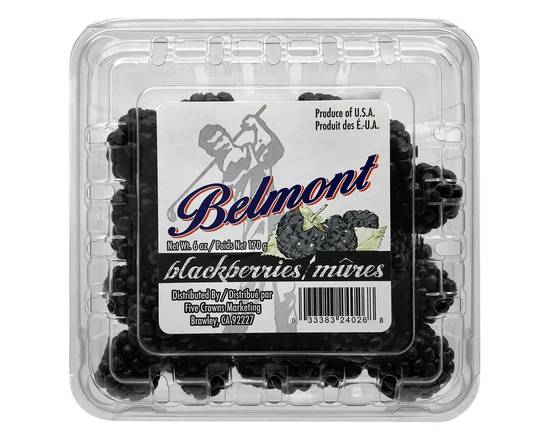 Belmont · Blackberries (6 oz)
