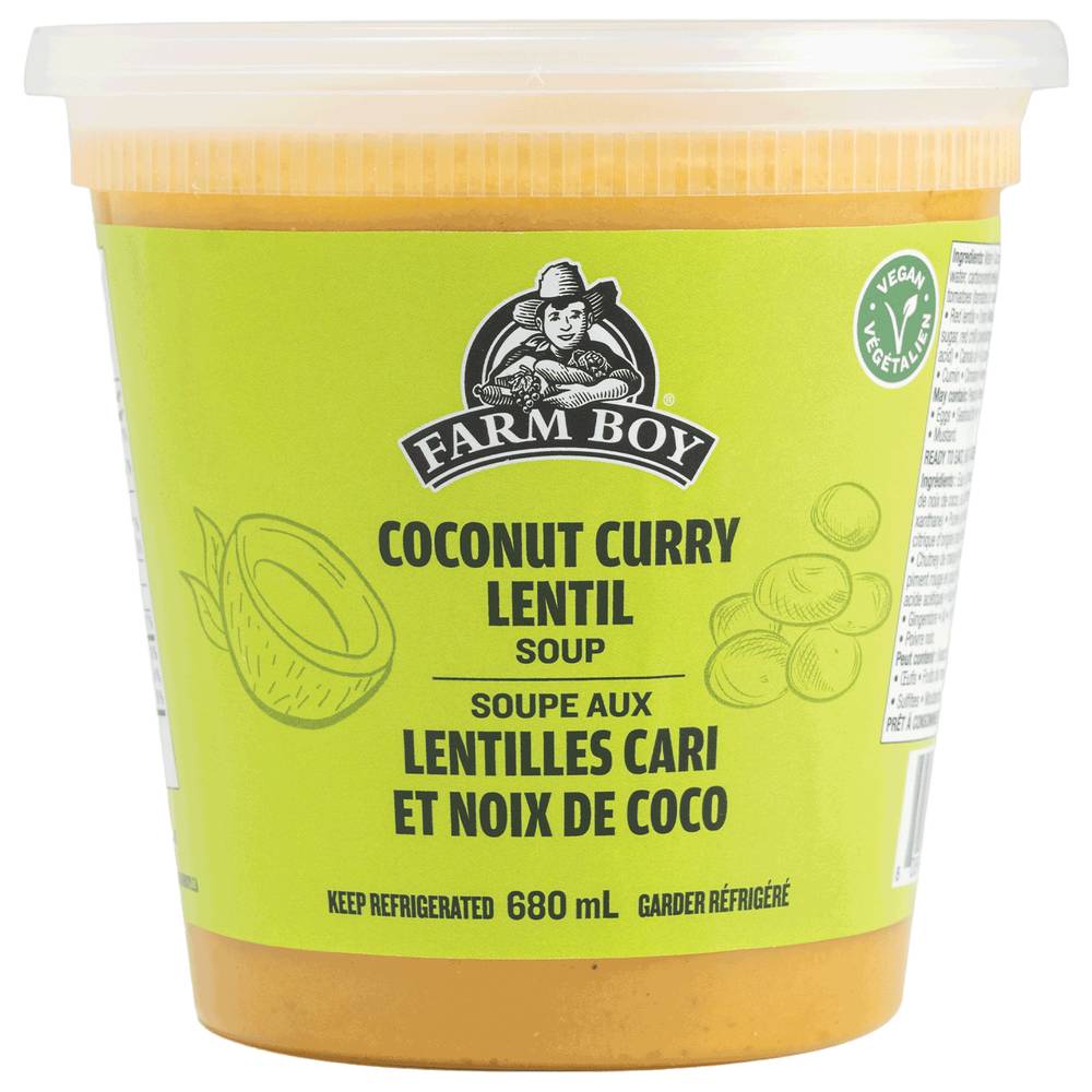 Farm Boy™ Coconut Curry Lentil Soup (680 ml)