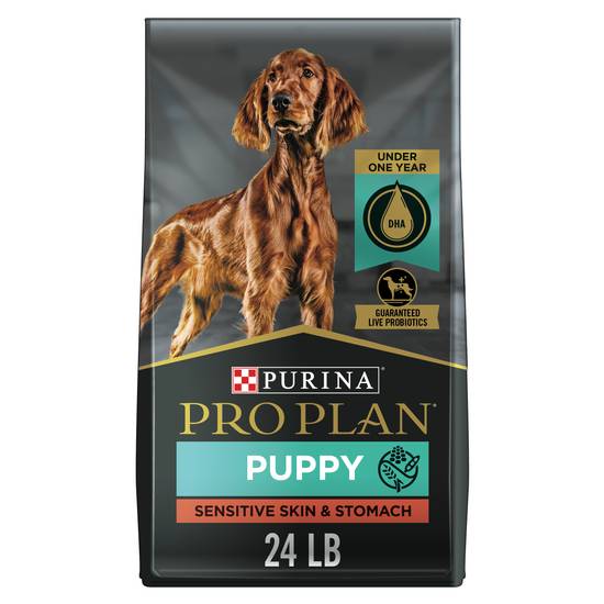 Purina Pro Plan Sensitive Skin and Stomach Puppy Food ( salmon-rice )