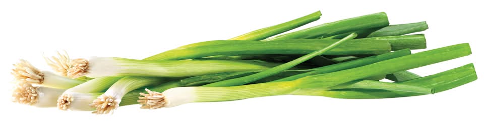 Green Onions, Bag