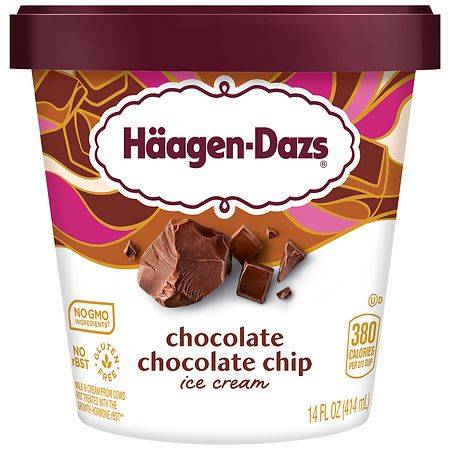 Häagen-Dazs Chocolate Chip Ice Cream (14 fl oz)