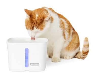 PetSafe Viva Pet Indoor Water Fountain With Ultra Quiet Pump For Dogs and Cats