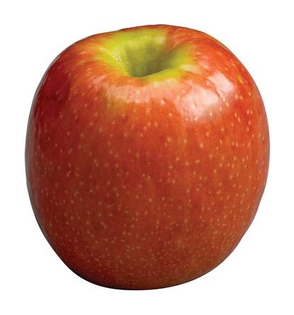 Pink Lady Large Apple