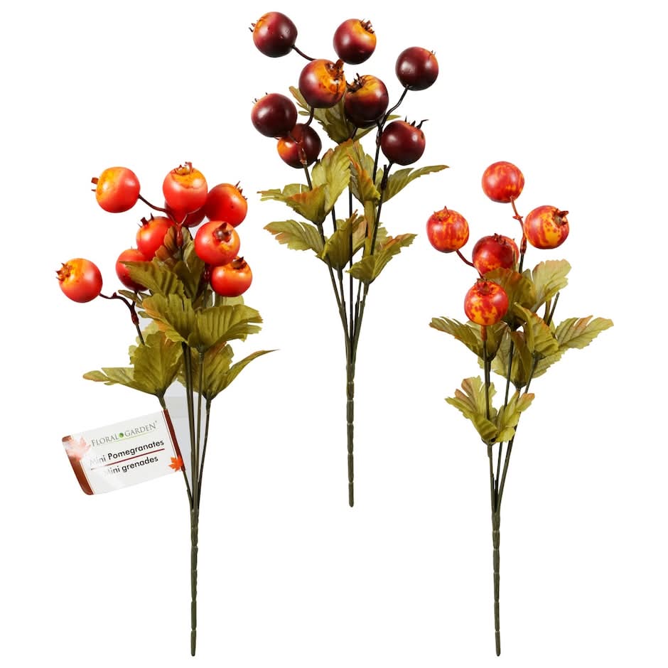 Floral Garden 5-Stem Mini Pome Bushes, 14.5-in.