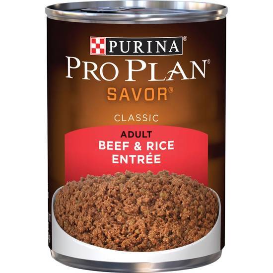 Purina Pro Plan Pate Wet Dog Food; Savor Classic Beef & Rice Entree (13 oz)