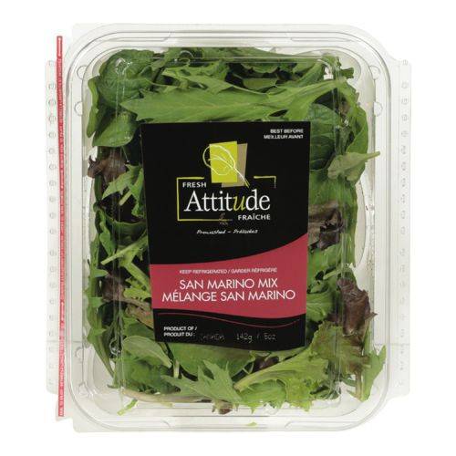 Fresh attitude salade mélange san marino - san marino mix salad (142 g)