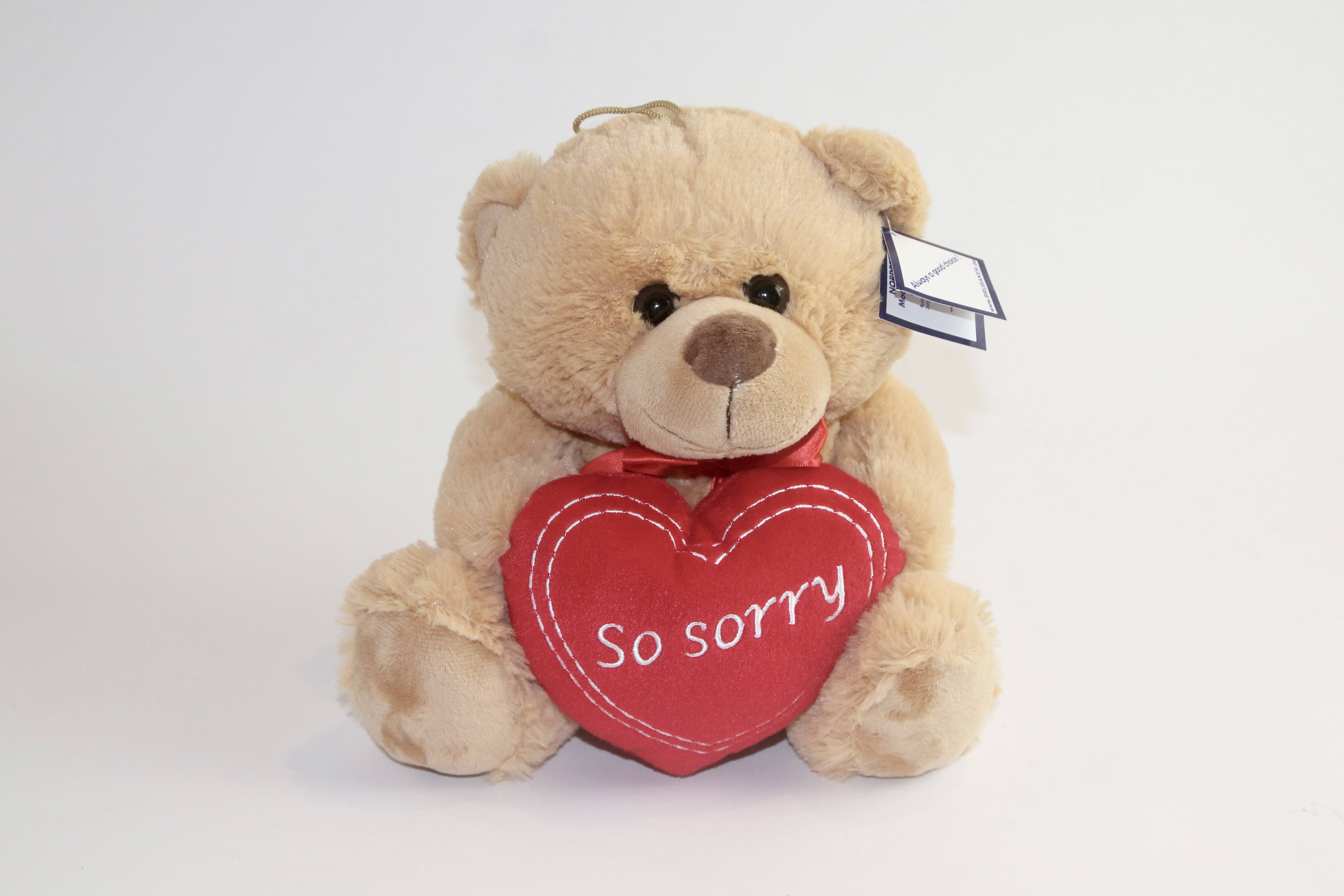 Nounours Charles so sorry