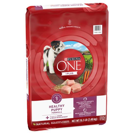 Purina One +Plus Healthy Puppy Formula Food For Puppies