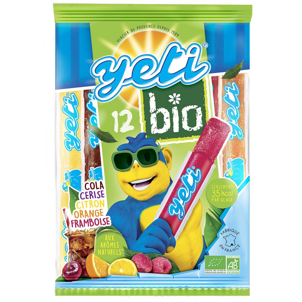 YETI - Glace panachés bio (12 pièces)