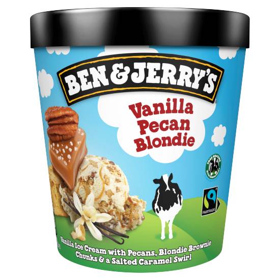 Ben & Jerry's Ice Cream Pint Vanilla Pecan Blondie
