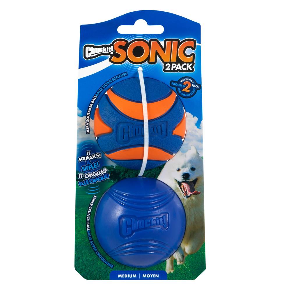 Chuckit! CI Sonic MD 2PK Squeaker Rubber Dog Interactive Blue Pet Toy | 50791