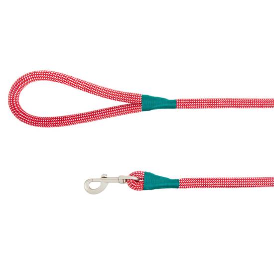 Merry & Bright™ Holiday Red Rope Dog Leash: 4-ft long (Color: Red, Size: 4 Ft)
