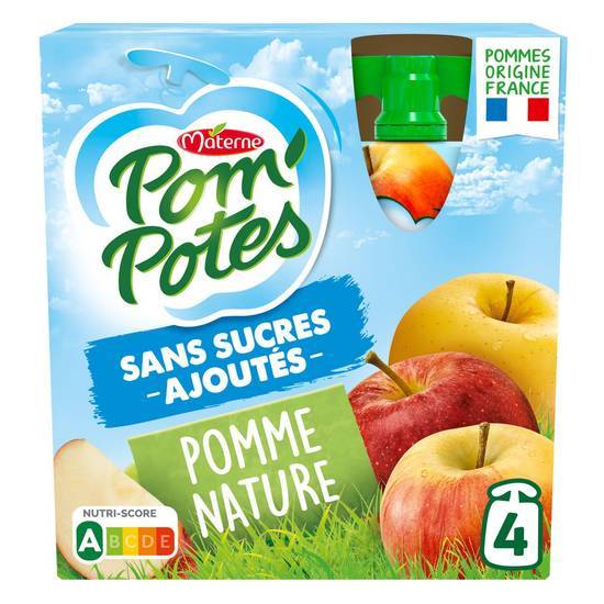 Materne - Pom'pote compote sans sucres ajoutés (pomme)