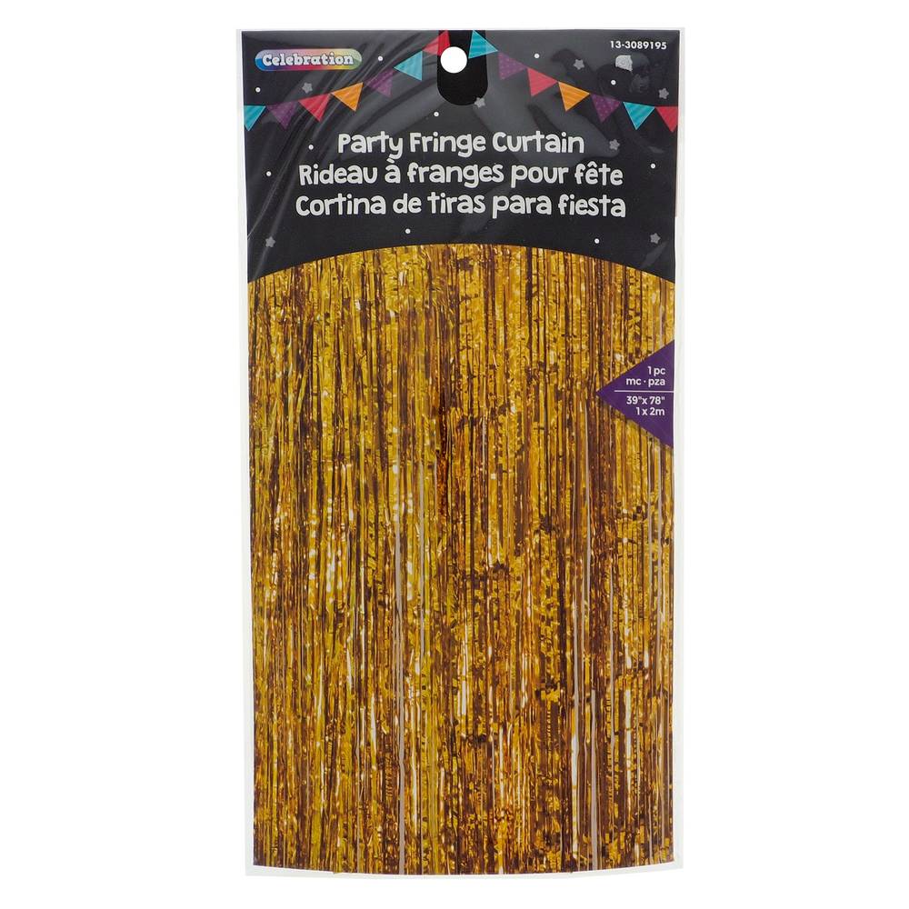 Celebrations Party Foil Fringe Curtain Backdrop