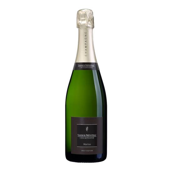Yannick Prévoteau - Vin champagne brut nature (750 ml)