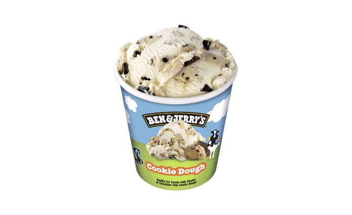 Ben & Jerry's  Cookie Dough 465 ml