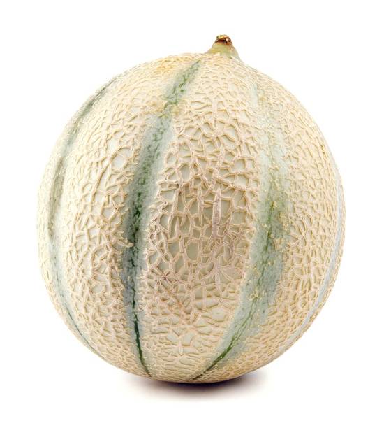 Organic Large Cantaloupe Melon