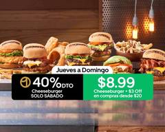 Burgerfi (Guaynabo)