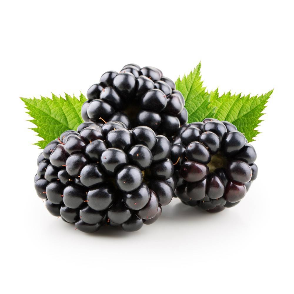 Organic Blackberries