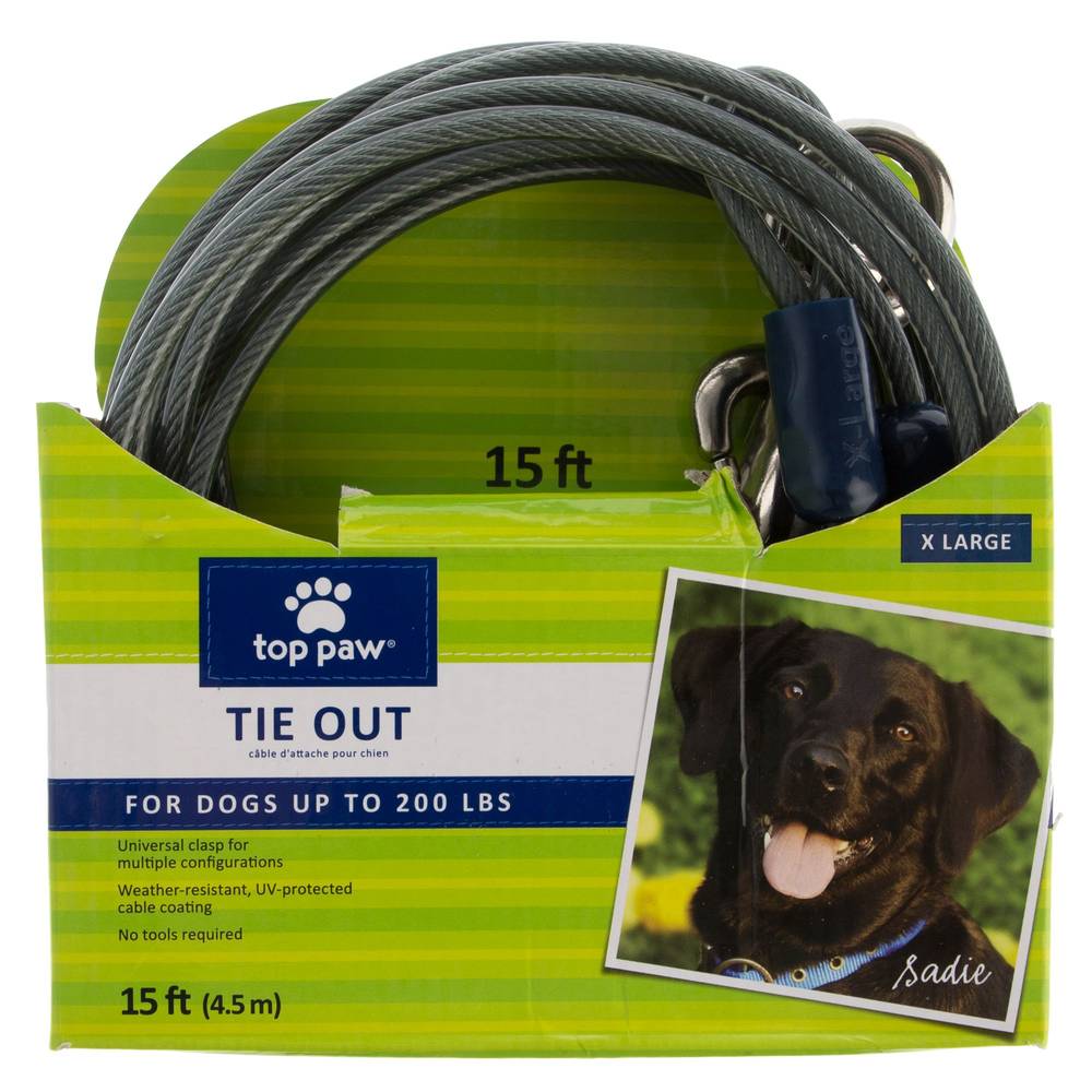 Top Paw® Dog Tie Out (Color: Grey, Size: 15 Ft)