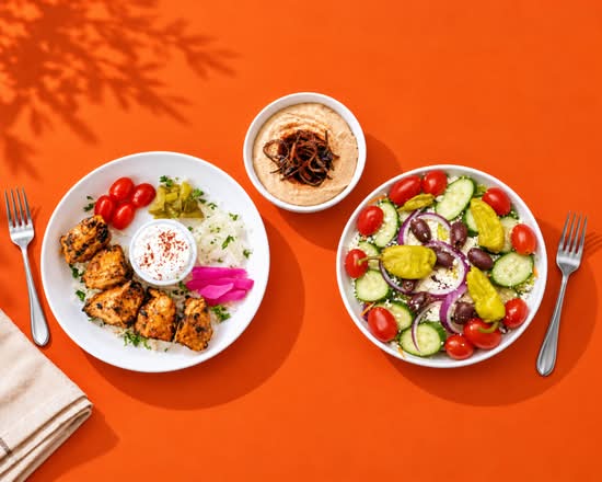 Aladdin Mediterranean Grill (Garden Oaks)