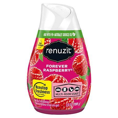 Renuzit Forever Raspberry Gel Air Freshener