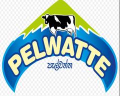 Pelwatte Dairy - Negombo