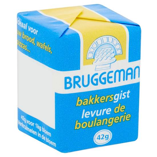Bruggeman Levure de Boulangerie 42 g