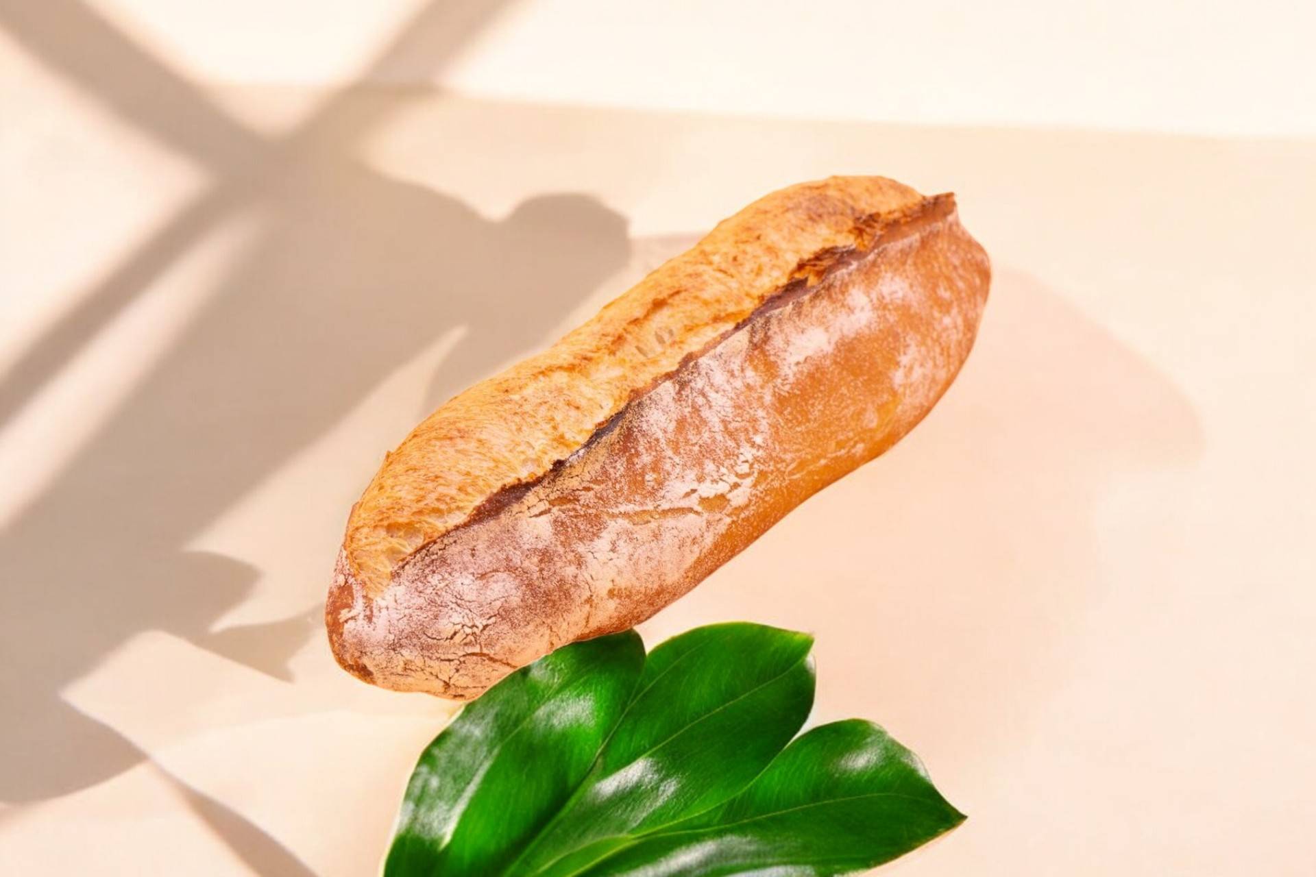 Demi tradition🥖🥖