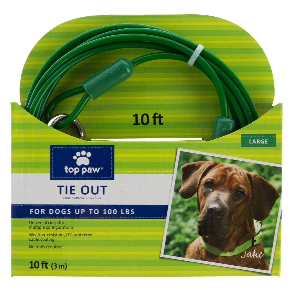 Top Paw® Dog Tie Out (Color: Green, Size: 10 Ft)