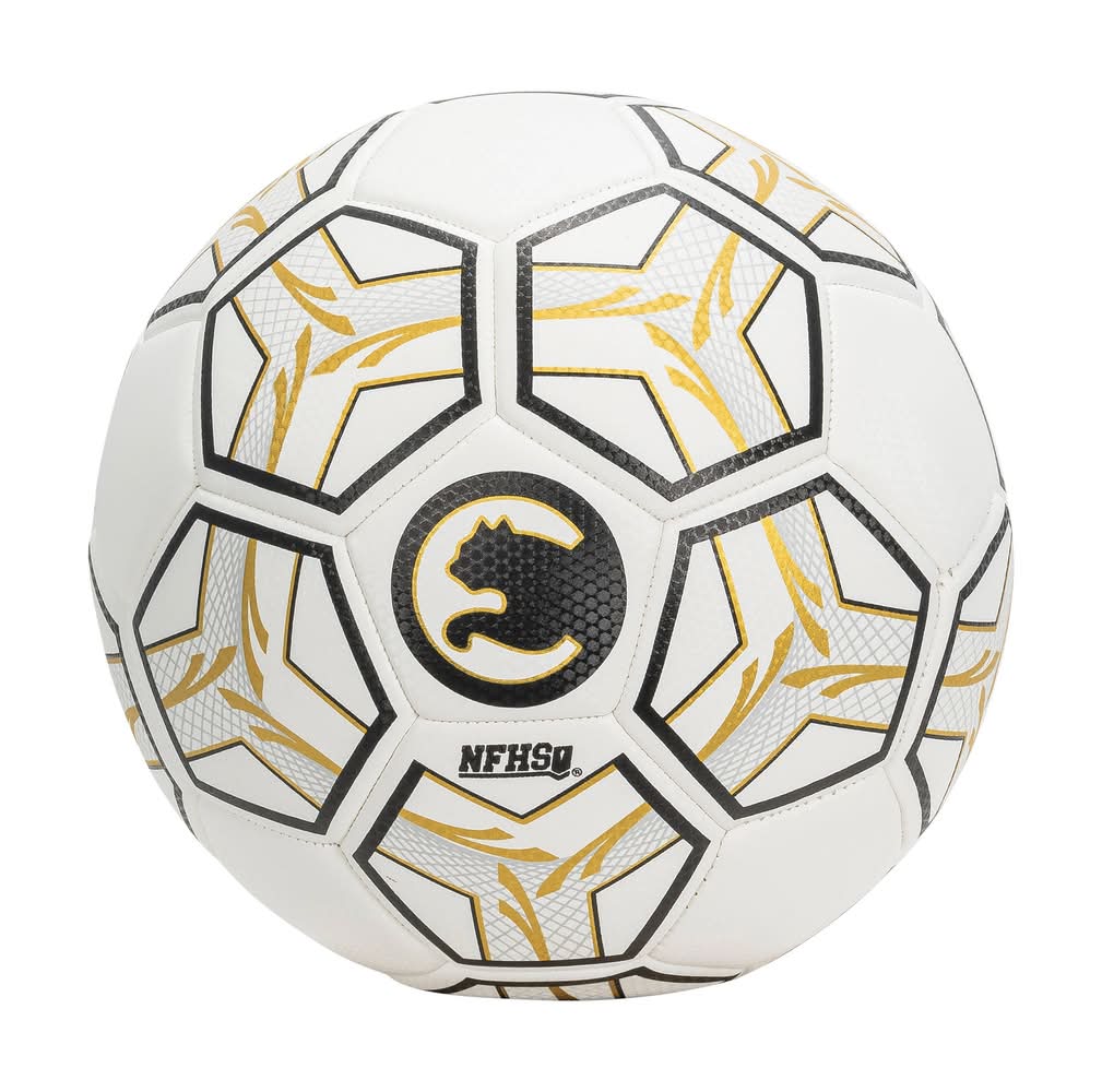 Puma Procat Nfhs Soccer Ball, 5, White