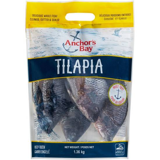 Anchor Bay Whole Tilapia (1.36 kg)