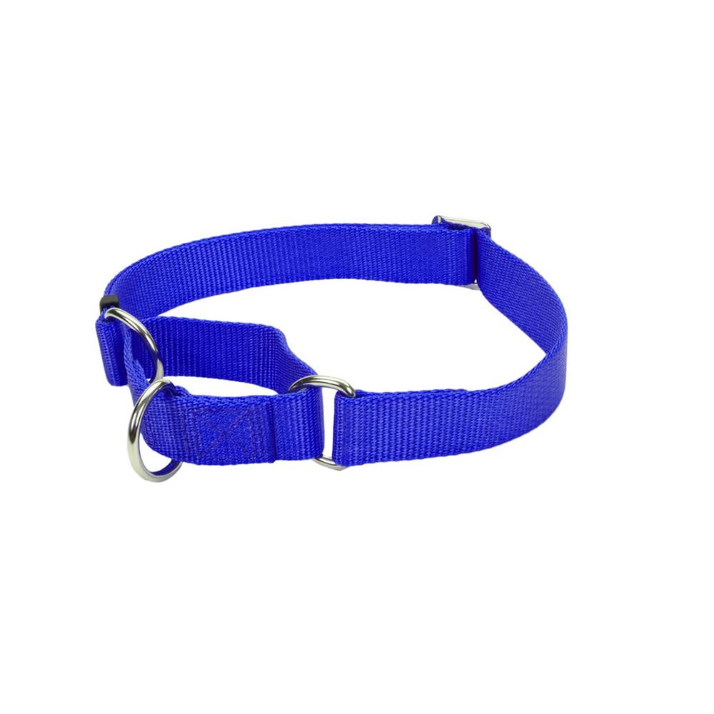 Coastal No! Slip Martingale Adjustable Dog Collar (small - 5/8" x 10"-14 in/blue)