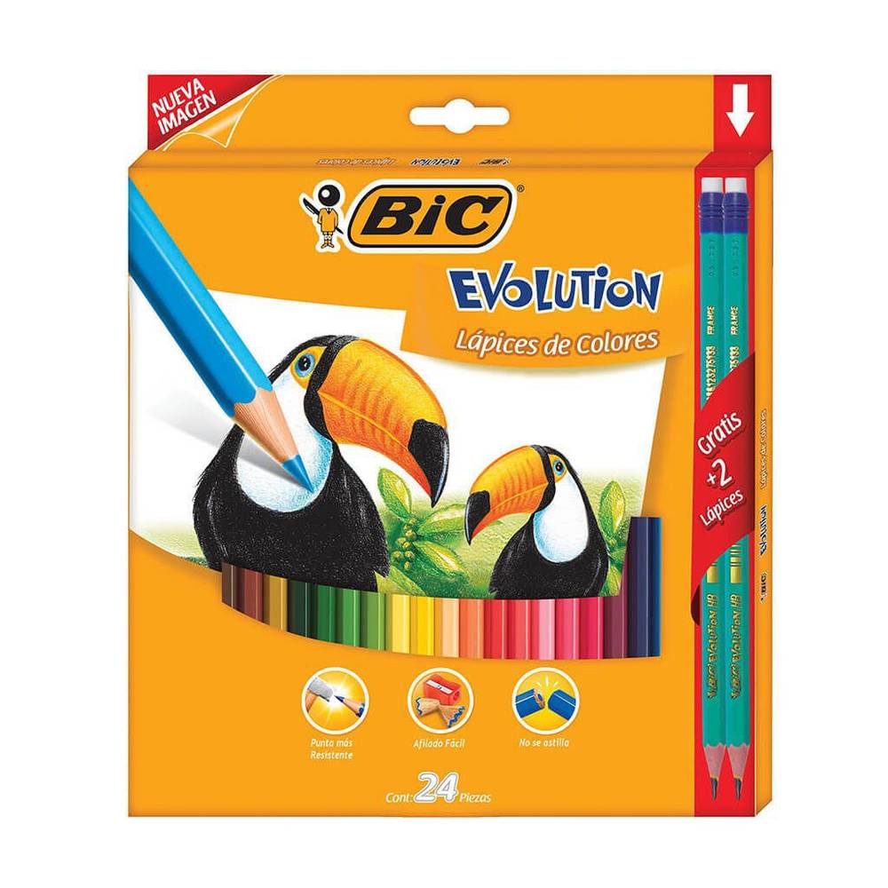 Bic lápices de colores hexagonales evolution (24 piezas)