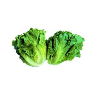 【無毒蔬菜】福山萵苣(大陸A菜)250g±10%