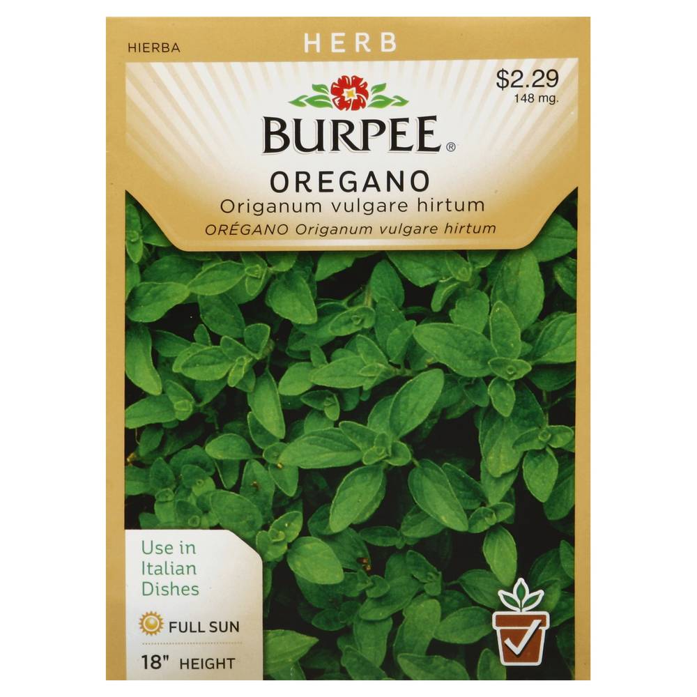 Burpee Oregano Greek