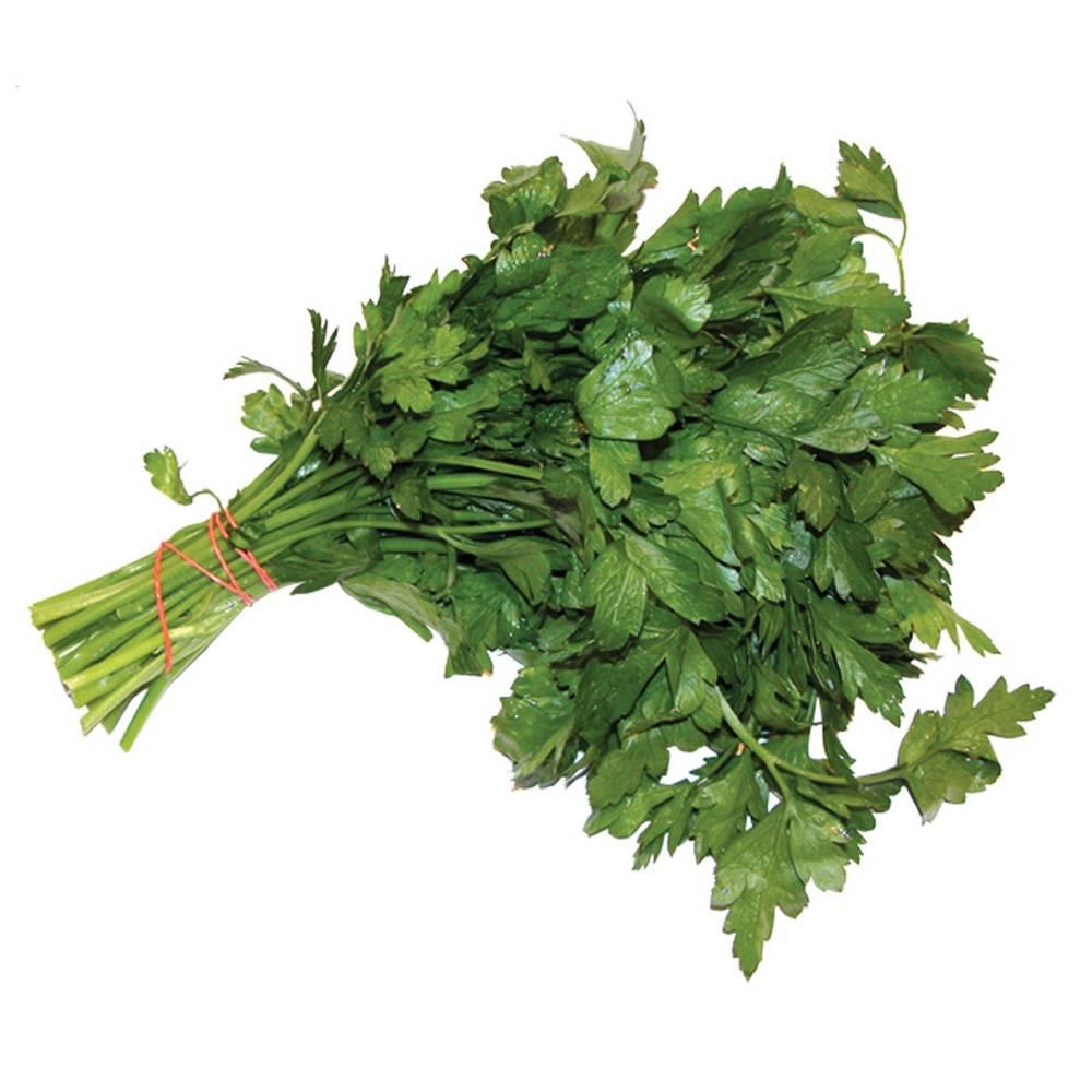 Plain parsley