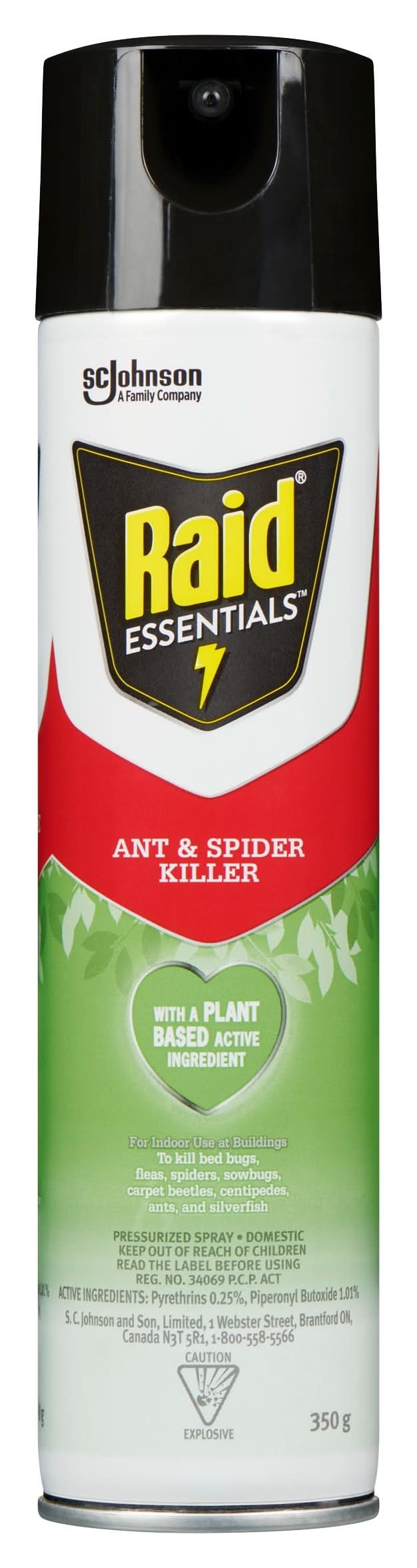 Raid Ant and Spider Insecticide Aerosol (350 g)